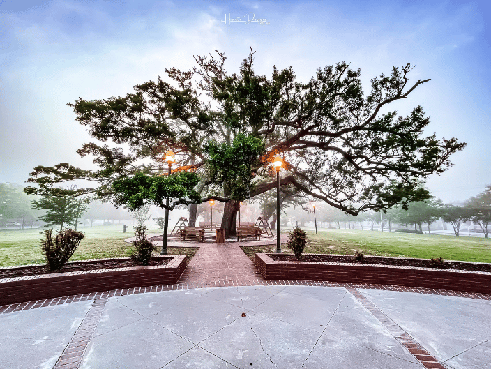 We Proudly Serve Long Beach Mississippi