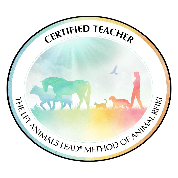 Teacher Certification