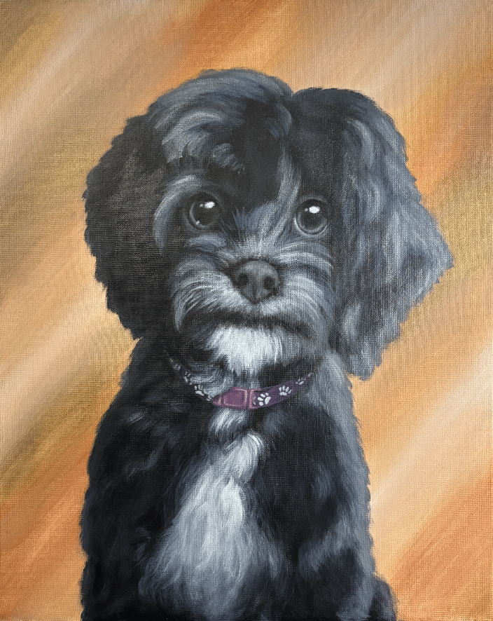 A 16"x20" pet portrait painting of a black and white dog with an abstract brown, tan and white background.