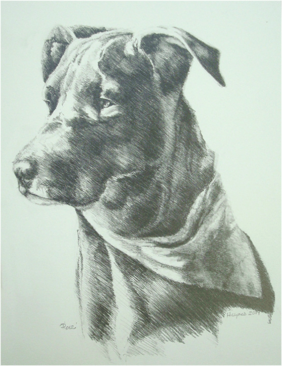 Graphite drawing 16 x 20