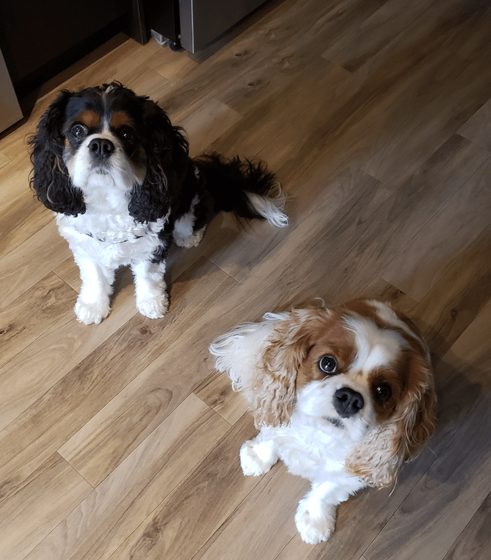 Brothers Bruley & Bosco