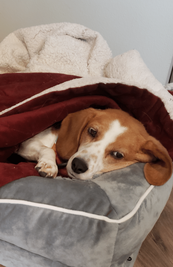 Time for a Nap