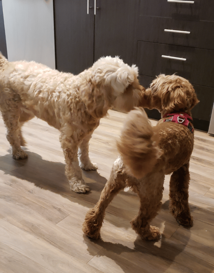 Playtime with a Friend!