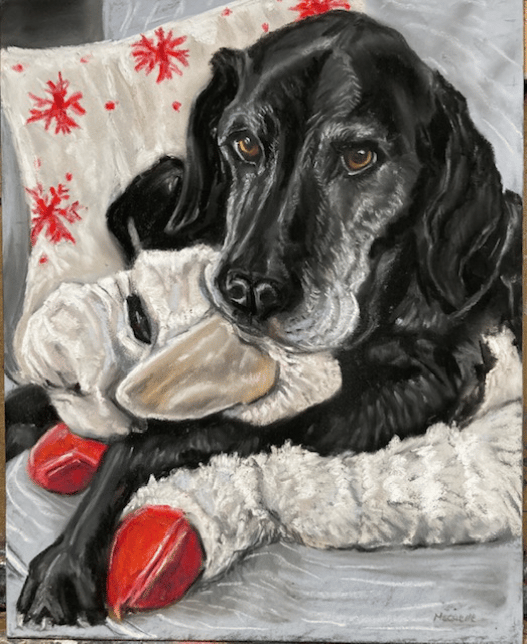 Pet Portrait Art Saratoga NY
