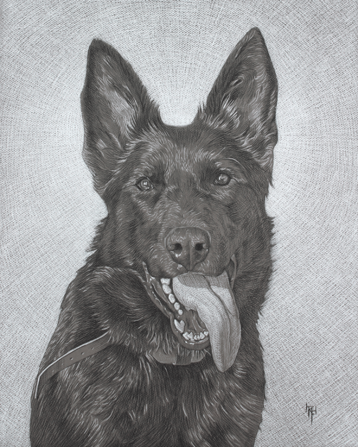 "Jet" 16x20" Charcoal & Pastel