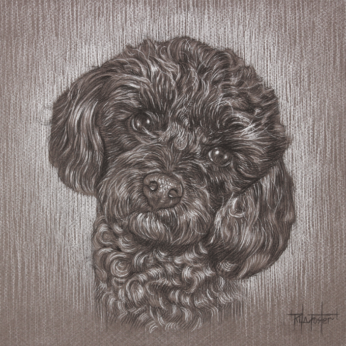 "Mawkwa" 10x10" Charcoal