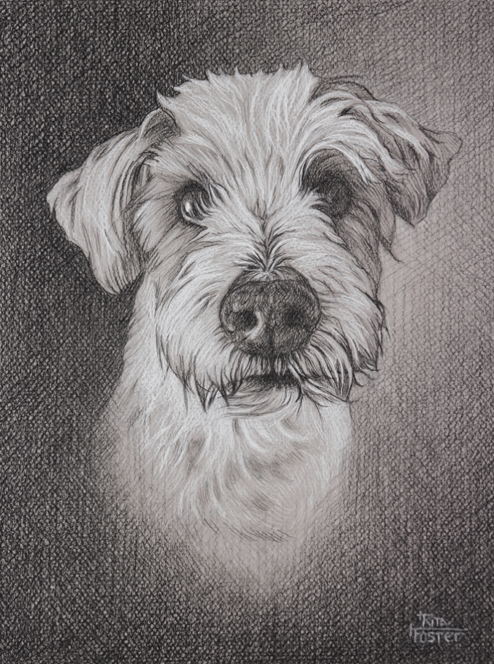 "Elsa" 9x12" Charcoal
