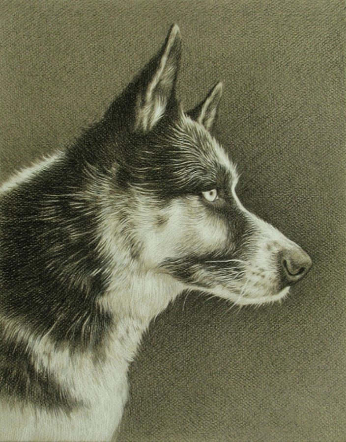 "Coda" 16x20" Charcoal