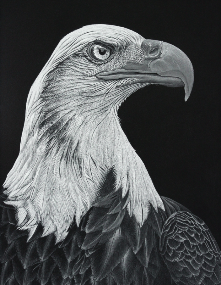 Bald Eagle 18x24" on pastelbord with varnish coating
