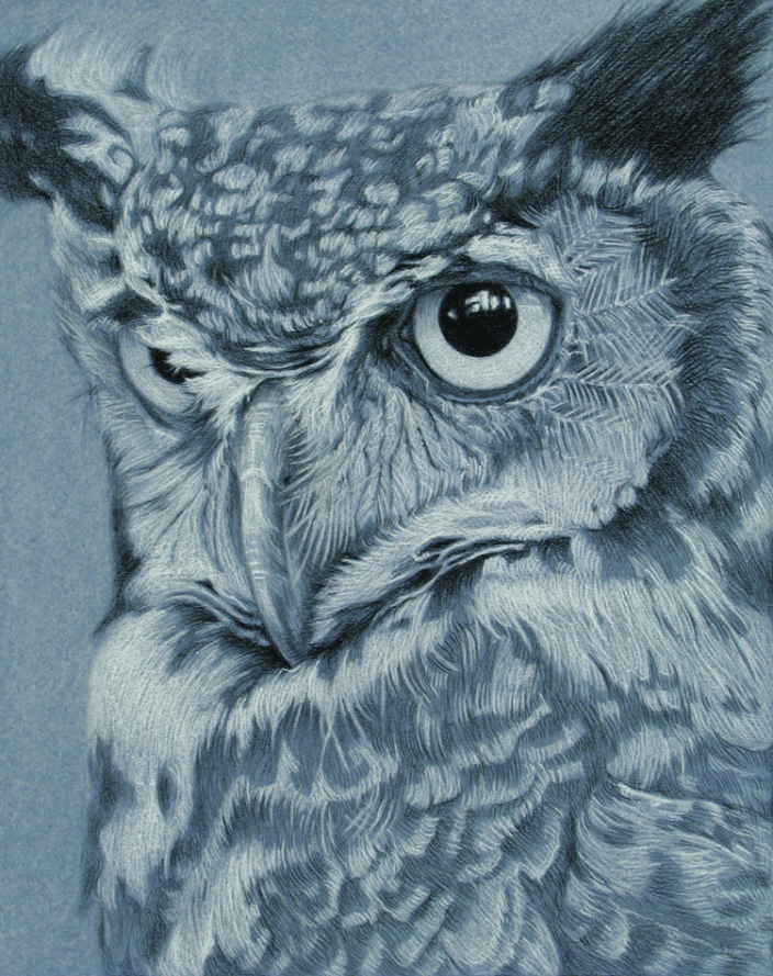 Great Horned Owl 8x10" Pastel