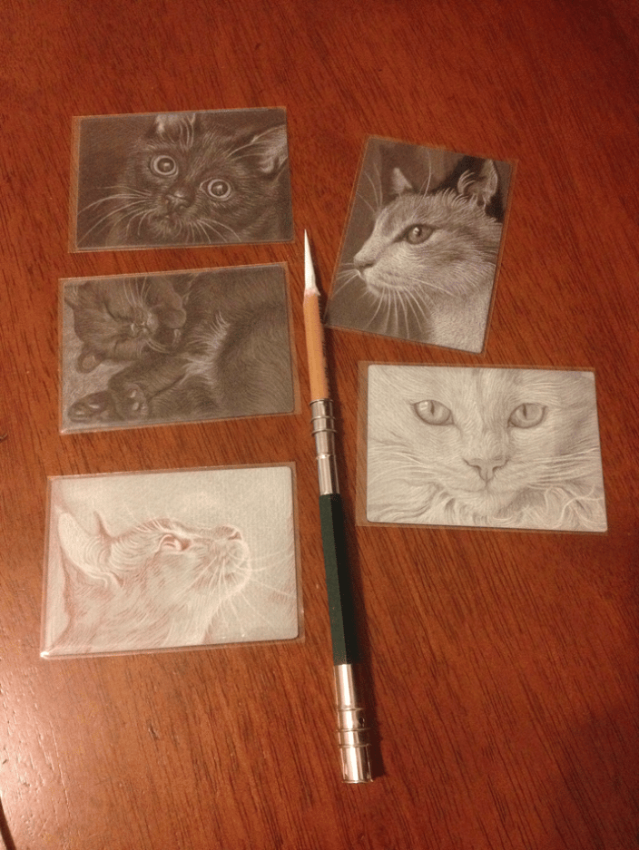 2.5"x3.5" cards in charcoal