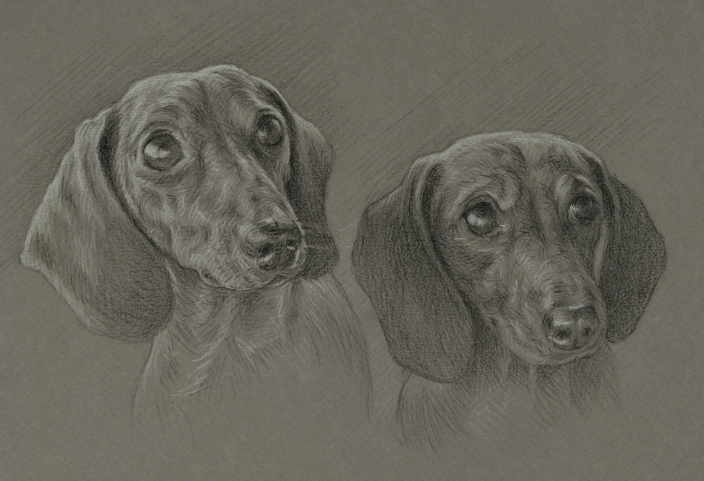Dachshunds 9x12" Charcoal