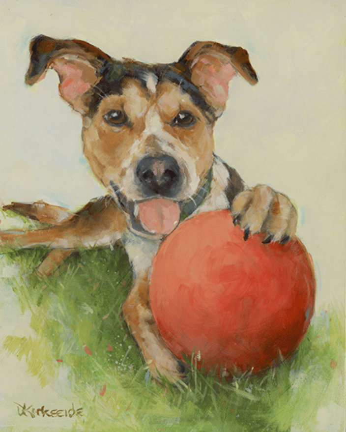 Pet Portrait of mixed breed dog