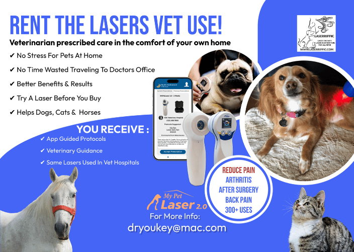 rent lasers