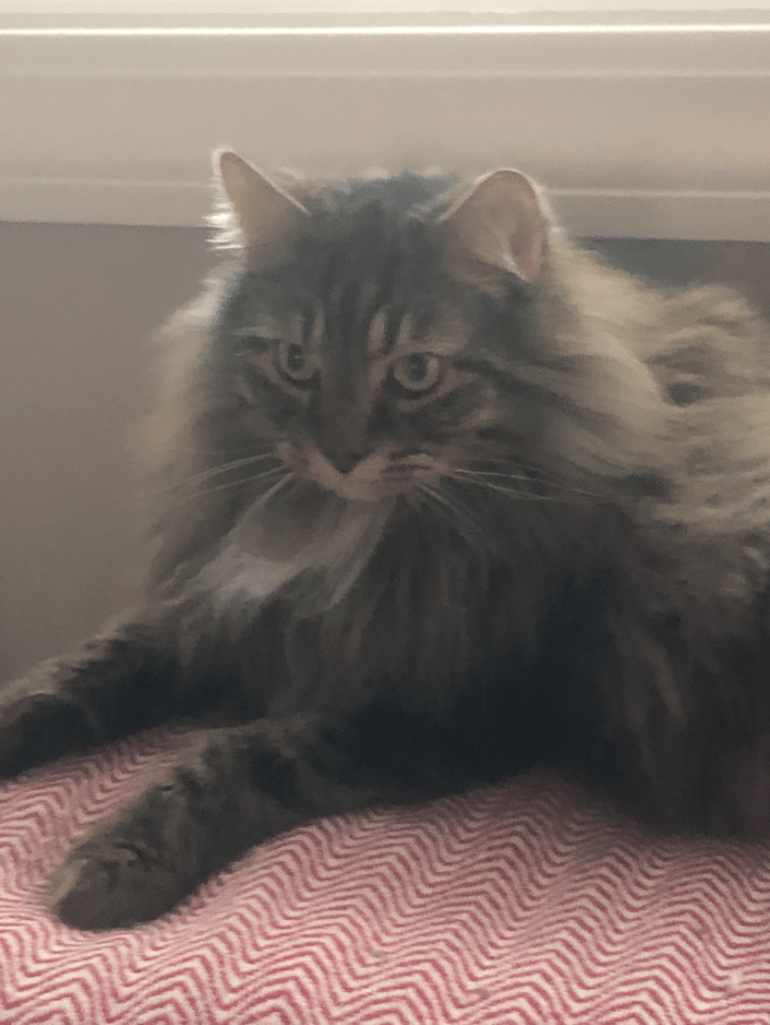 Lenny