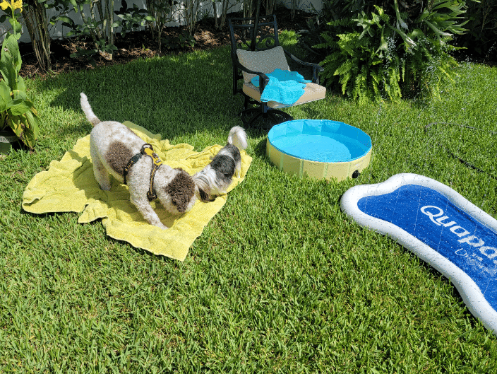 Summer Day Care Fun