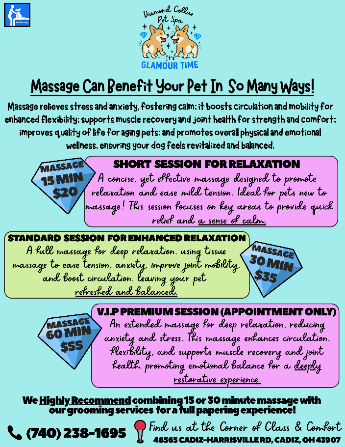 Information About Our PetMassage Services at Diamond Collar Pet Spa