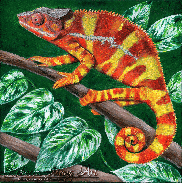Panther Chameleon pet portrait on canvas