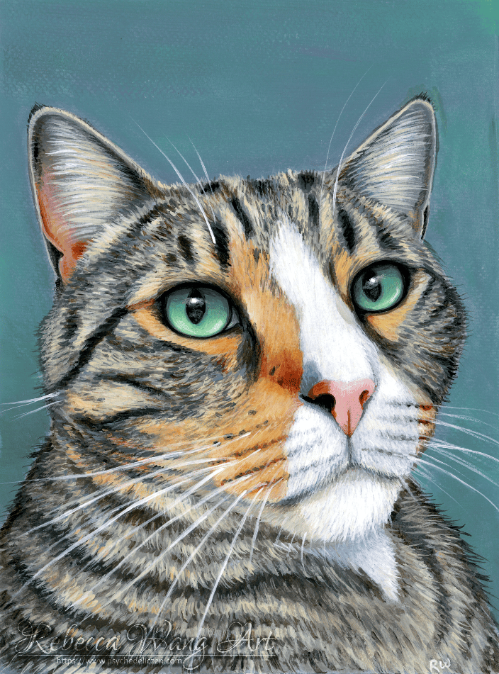 Tabby cat pet portrait on canvas