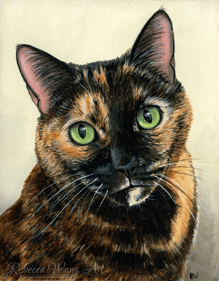 Tortoiseshell Cat pet portrait on canvas