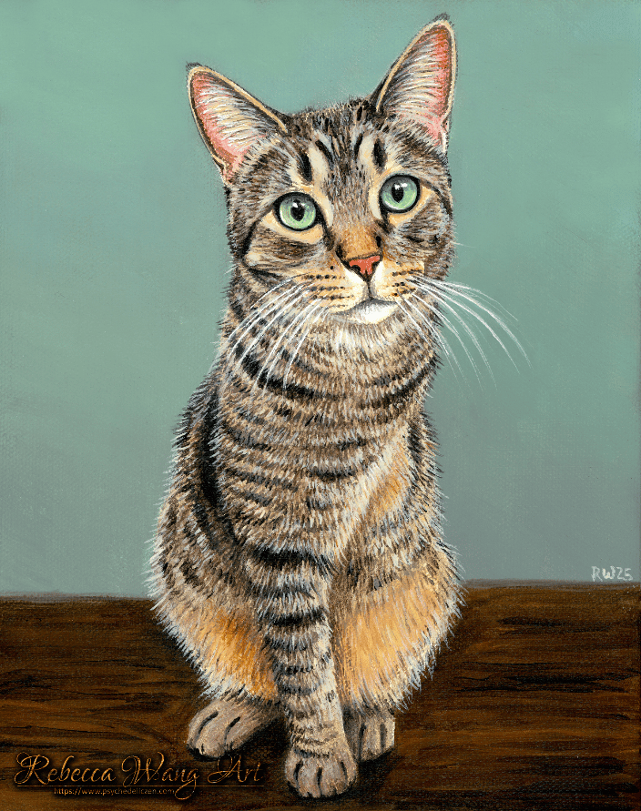 Tripod tabby cat pet portrait on canvas