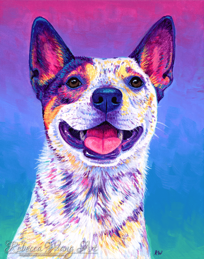 Colorful painting of a Blue Heeler dog
