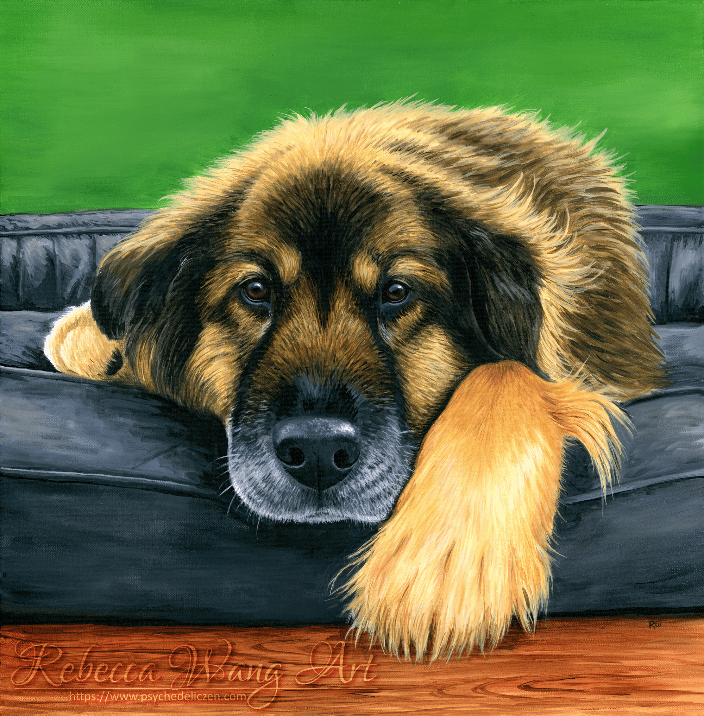 Pet portrait of a mixed breed dog on canvas