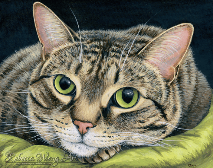 Pet portrait painting of a tabby cat
