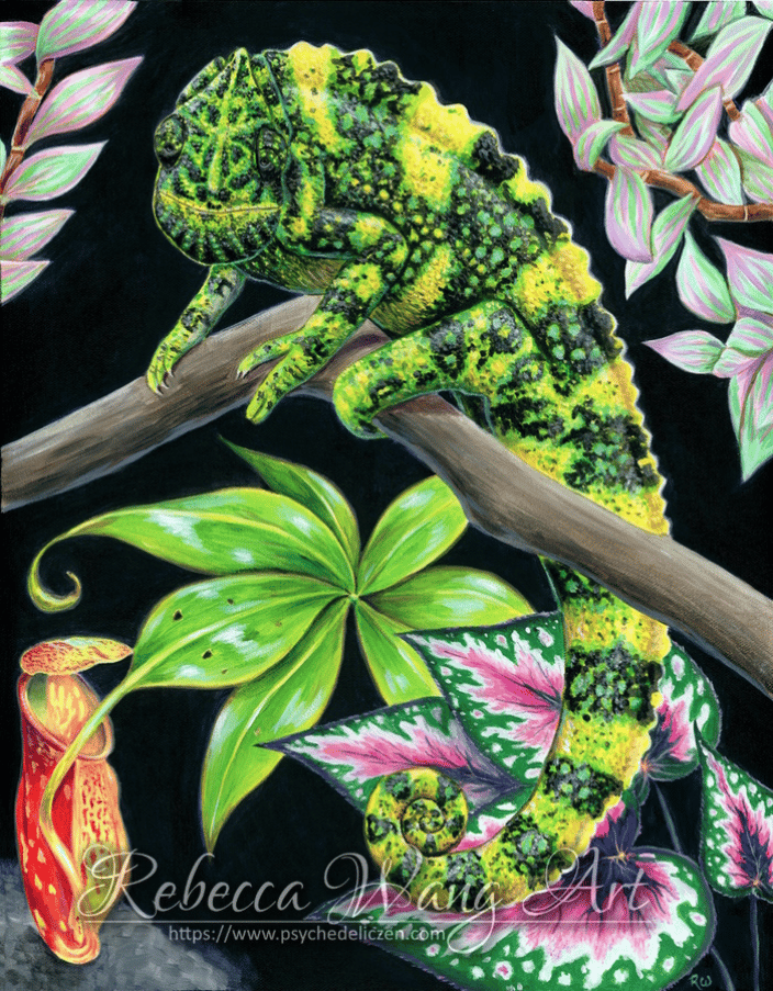 Pet portrait painting of a Meller's Chamleleon