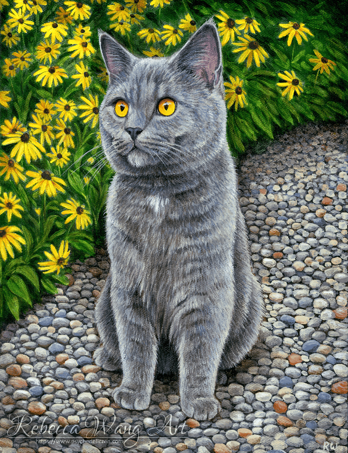 British Shorthair pet portrait painting