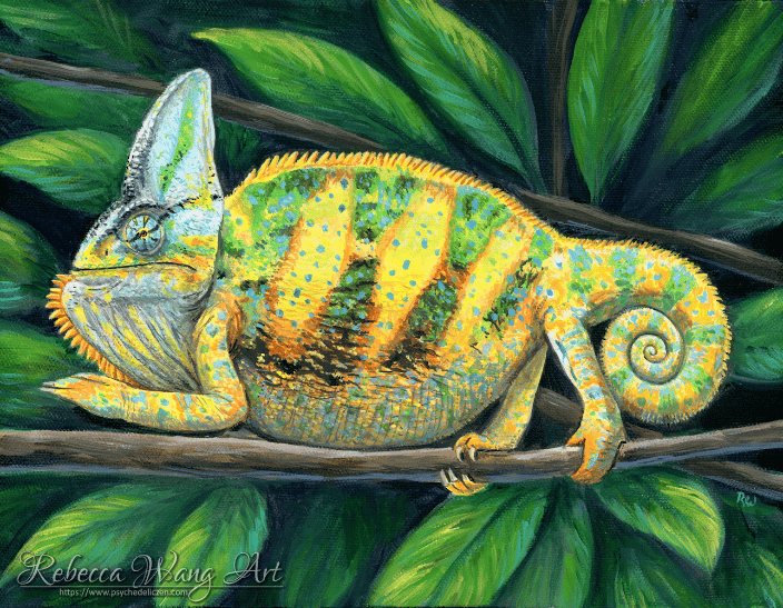 Painting of a Veiled Chameleon