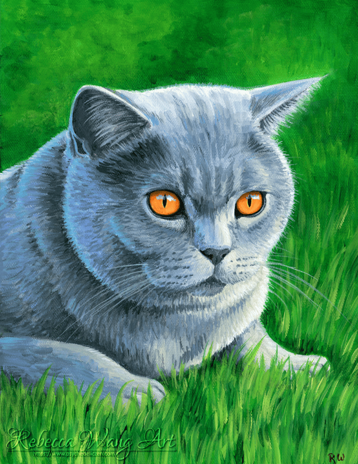 Painting of a British Shorthair cat
