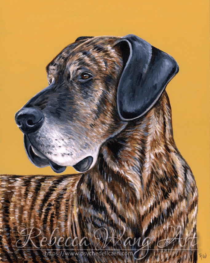 Painting of a Brindle Great Dane dog