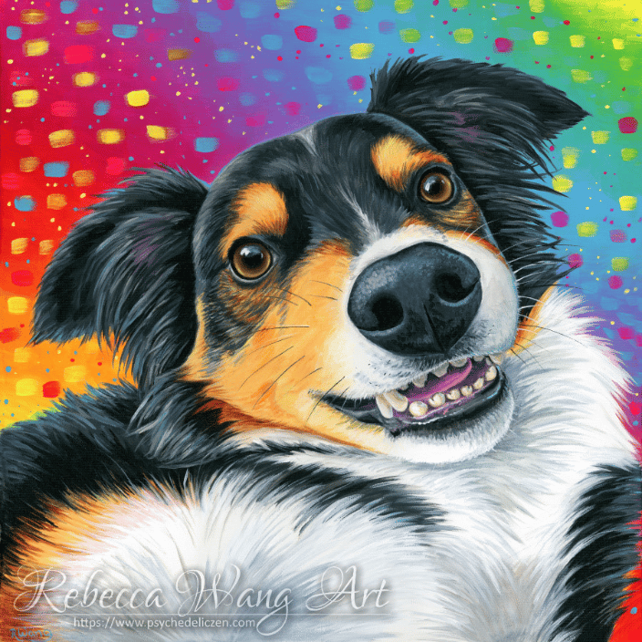 Portrait of an Australian Shepherd Dog