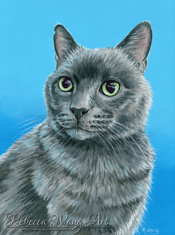 Portrait of a grey cat