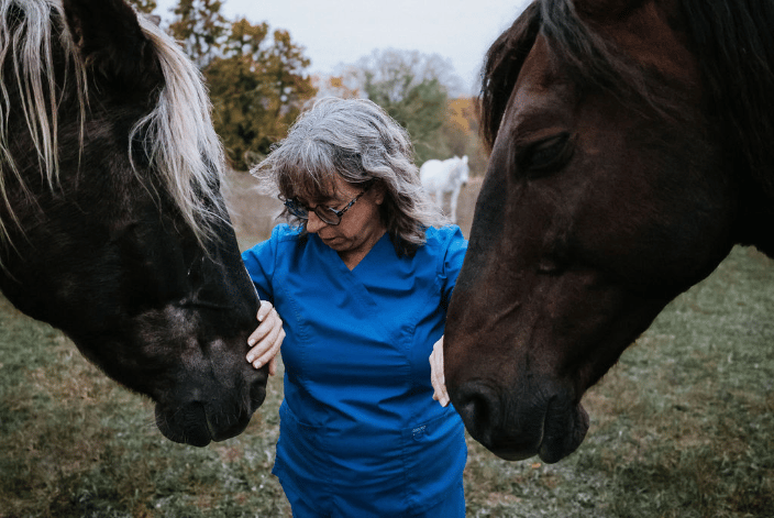 communication with 2 horses
