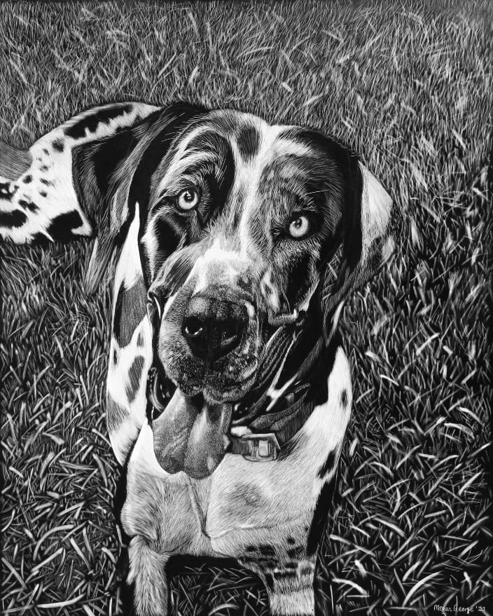 Dog Portrait ‘Meeka’
