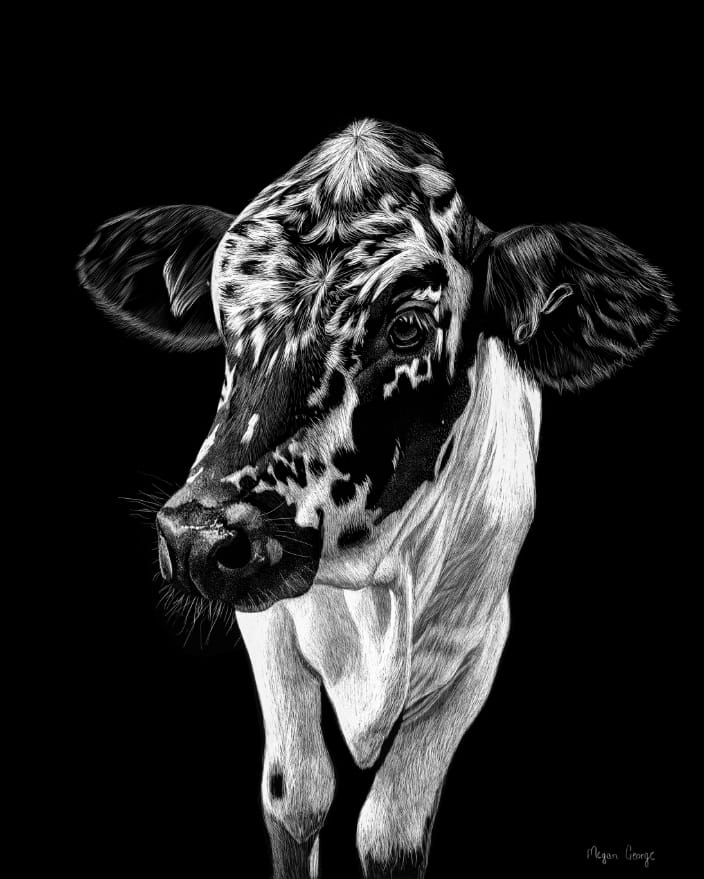 Cow Portrait ‘Cookies and Cream’