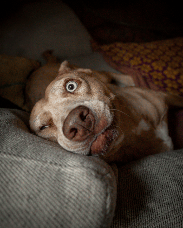Miso relaxing during her at-home photoshoot