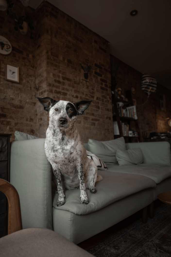 Joni at her beautiful home - at-home photoshoot