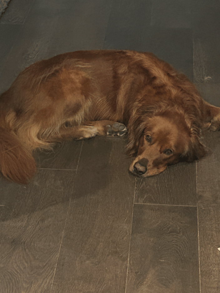This is my golden, Captain