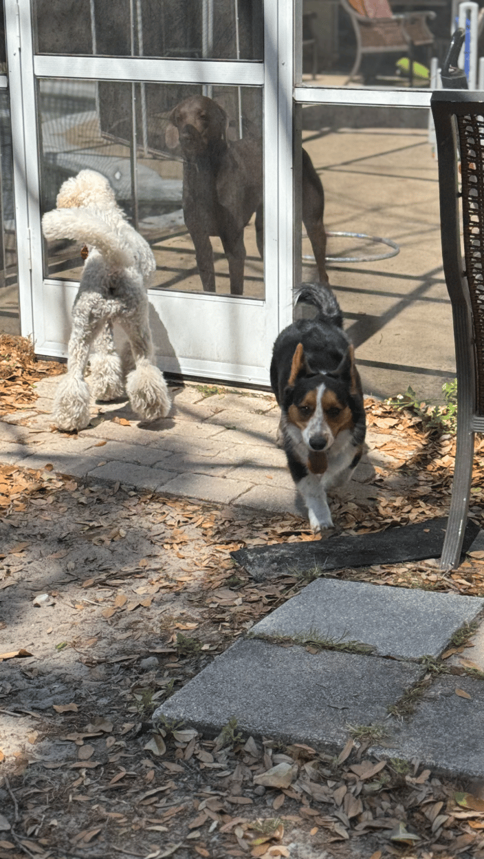 Playtime!! 