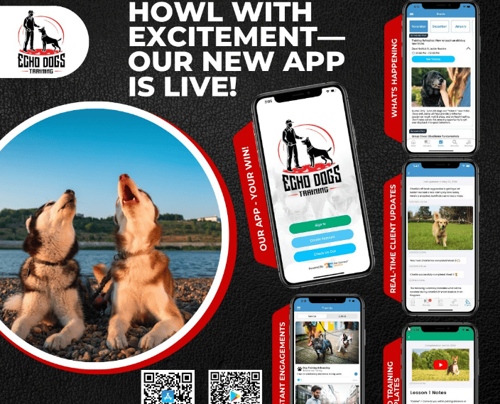 Dog Training Pennsylvania