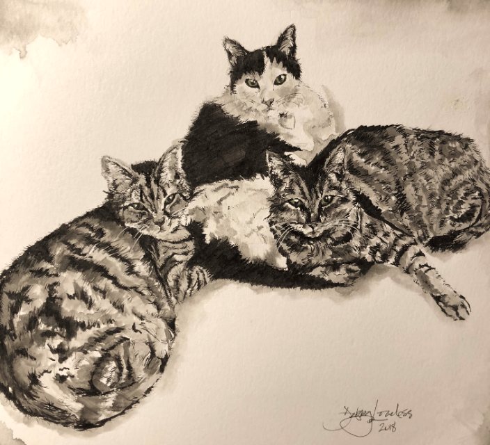 3 Cool Cats