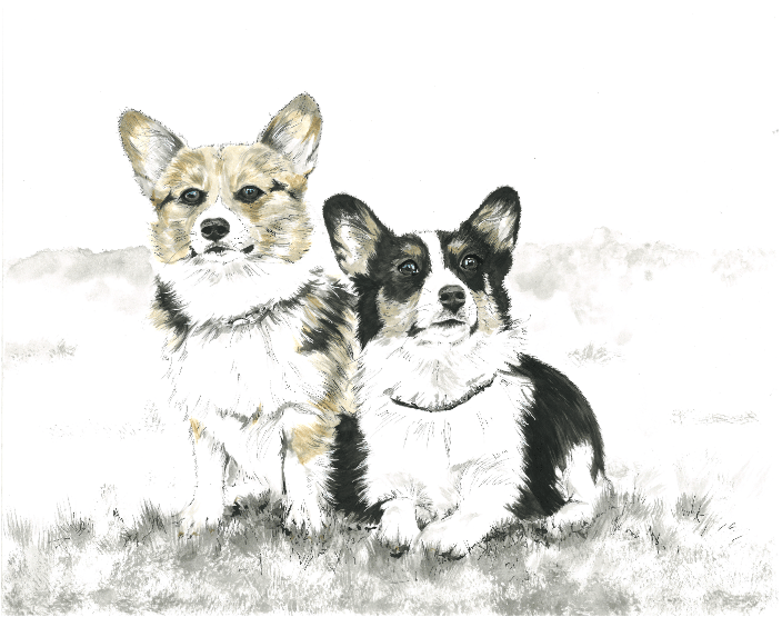 Murphy & Matilda