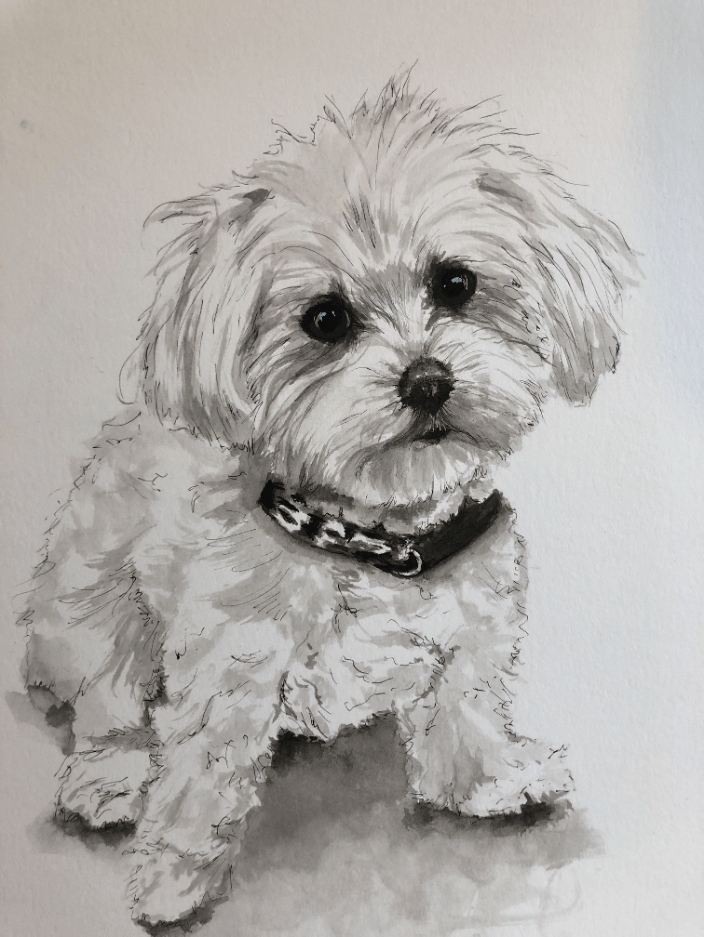Lilly