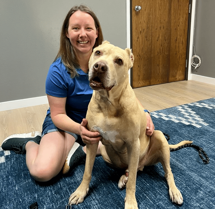 Animal Chiropractor Arvada Colorado