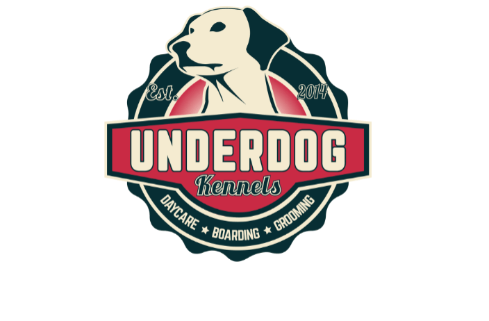 dog daycare dallas tx