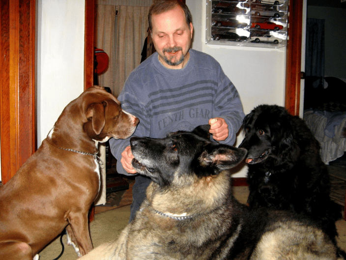 Several members of my pack in 2010
