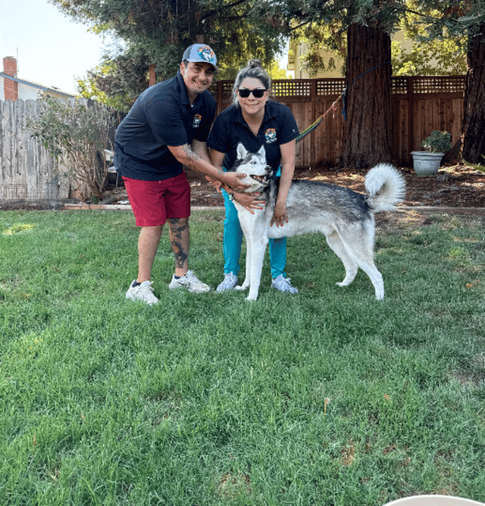 Napa CA Pet Waste Removal Services